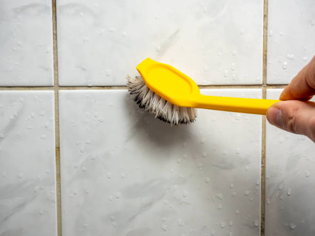 Best Toxic Mold Removal  in Philadelphia, PA
