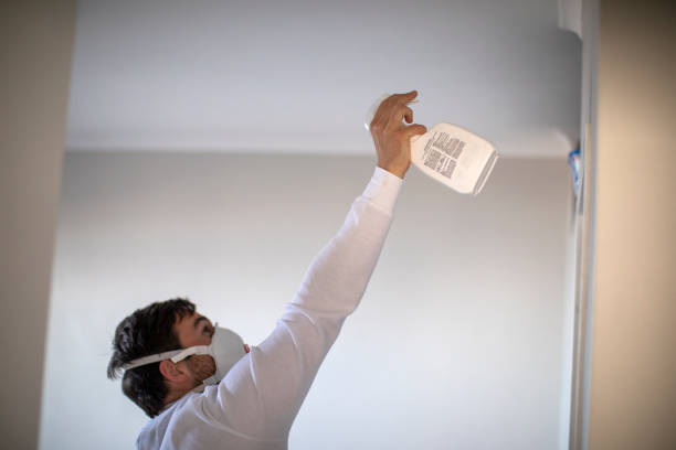 Best Home Mold Removal  in Philadelphia, PA