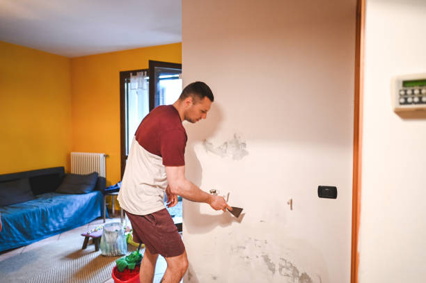 Best Crawl Space Mold Removal  in Philadelphia, PA